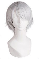 Men's Short Straight Wig Cosplay Costume Wig Silver Grey
