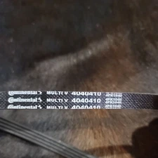 Continental Serpentine Belt-Multi-V Continental Elite 4040410