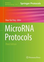 Shao-Yao Ying | Microrna Protocols | Buch | Englisch (2018) | Xi | Humana