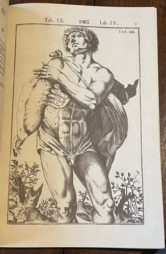 TABULAE ANATOMICAE - Casserius, 1st 1971 - Ltd Ed (2500) - HUMAN ANATOMY, PLATES - Bild 12 von 17