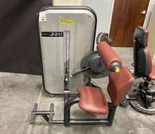 Technogym Element Lower Back Exercise Machine