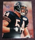 BRIAN URLACHER Signed Chicago BEARS 16x20 PHOTO w/ Beckett COA