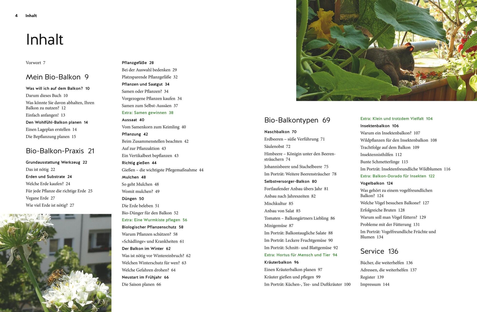 Thumbnail - Mein Biotop Auf Dem Balkon Birgit Schattling