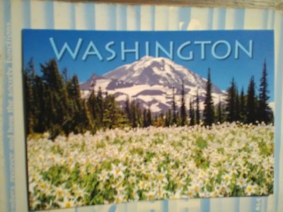 amazing CHROME  POST CARD WILDFLOWERS BELOW MOUNT RAINIER NATIONAL PARK WA.