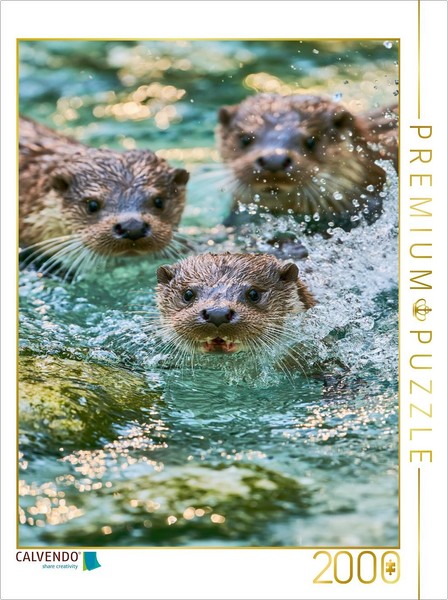 Calvendo Puzzle Small Waves, Great Happiness | 2000 Pieces, Finished Size 35.4 ×-image