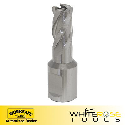 Sealey Rotabor Cutter HSS Ø12mm - Schnitttiefe 25mm Worksafe Elektrowerkzeuge Bohrereinsatz