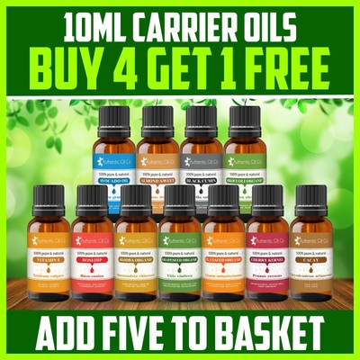 10ml Träger Basisöl Aromatherapie Massage Natur Rizinus Avocado Hagebutte