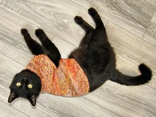 Hand Knitted Cat Sweater "Tropical", Handmade Cotton Orange Jumper for Small Dog