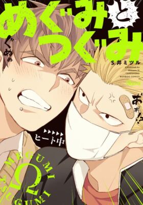 Megumi to Tsugumi Vol.1-4 set BL Yaoi Alpha x Omega Japanese Comic