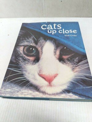Cats up Close (FC71-4-JV2715)