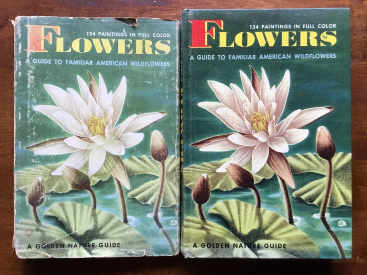 【大型本】FLOWER＆FRUIT PRINTS　ボタニカル Amazon.com: HOGOKIDS Flower Bouquet Set for Adults - 1461PCS