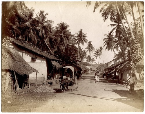 William Louis Henry Skeen, jeune fille de Ceylan, Sri Lanka. William
