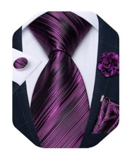 Mens Tie and Lapel Pin Set Silk Paisley Solid Striped Necktie Black Purple