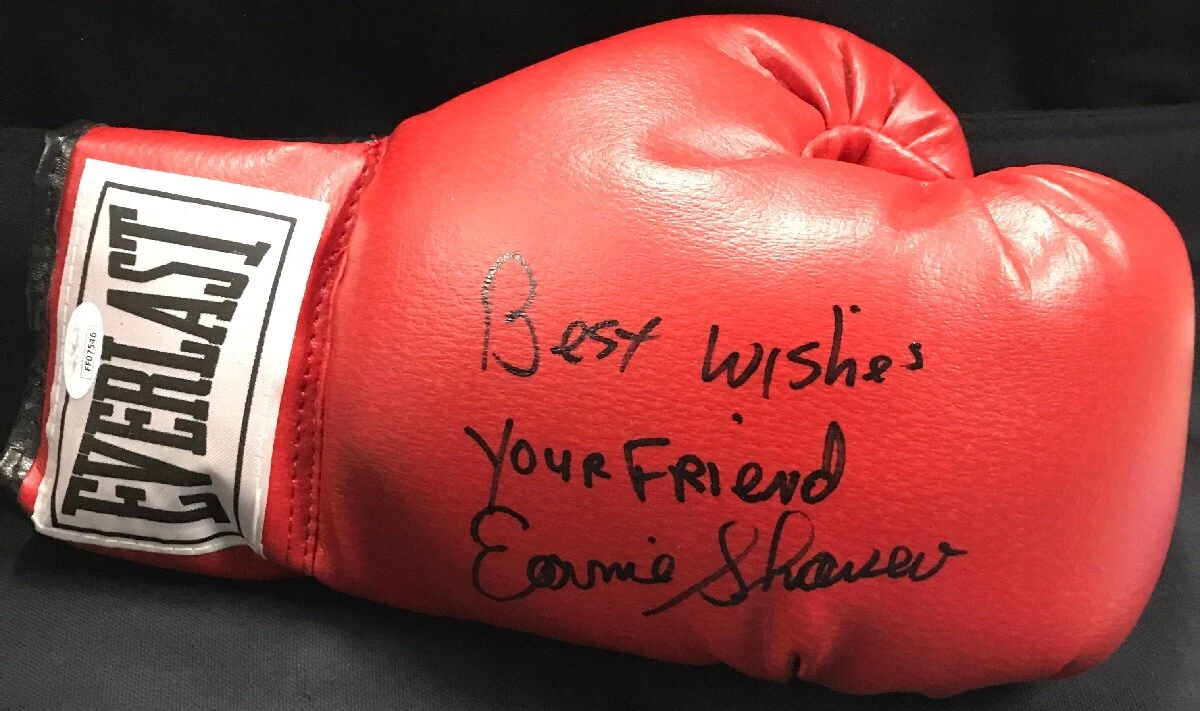 Best everlast best sale boxing gloves