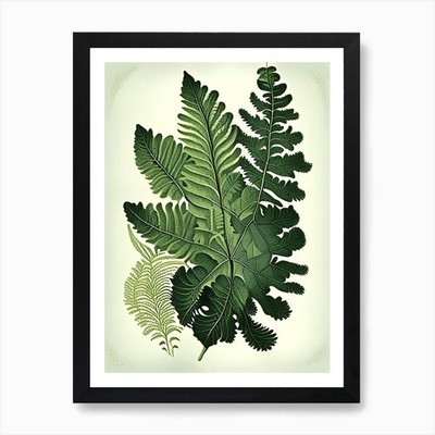 Südlicher Jungfernhaarfarn 1 Vintage gerahmtes Wandbild Poster Leinwanddruck Bild