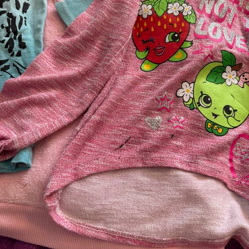 17 Piece LOT of Girls Size 4 & 5 Tops Bottoms Dresses Long Sleeves Winter Spring - Picture 11 of 21
