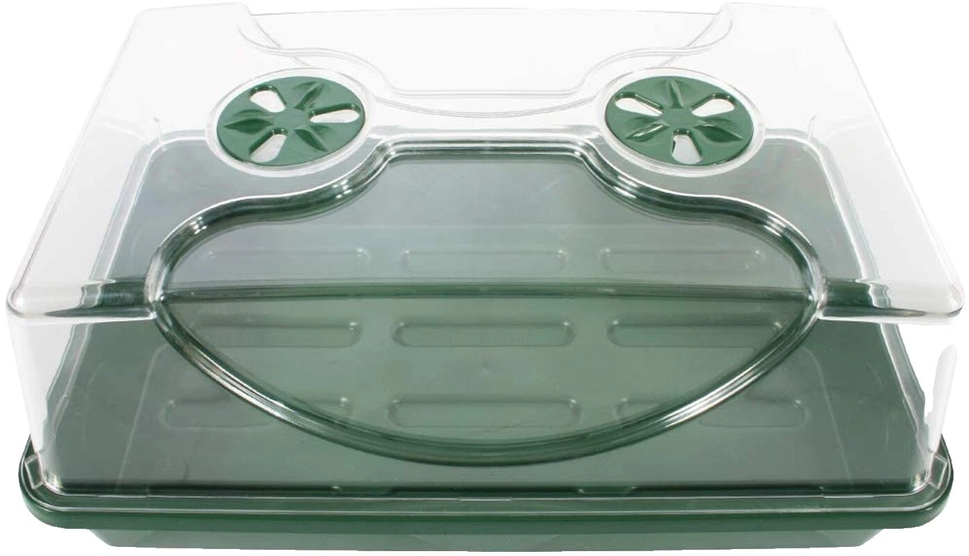 Semilla rectangular de madera macetas y bandejas de partida