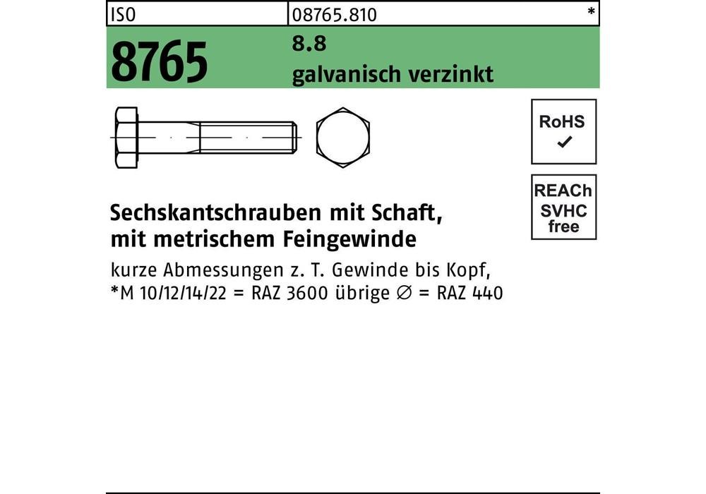 Рейхерское защитное устройство ISO 8765 m.Schaft M 24x2 x100 8,8 гальванический сплав