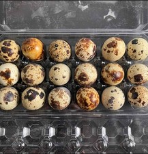 200 hundred Quail Hatching Eggs For Sale