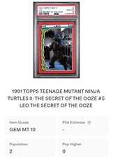 Teenage Mutant Ninja Turtles Professional Sports Authenticator