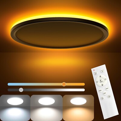 LED ceiling light ceiling lamp dimmable 24W with remote control warm cold white C62
