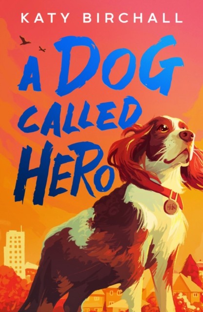 A Dog Called Hero by Katy Birchall (Paperback Book)