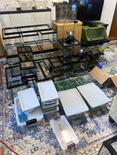 Mixed Reptile & Aquarium Terrarium Collection