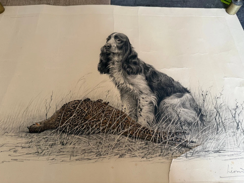 ANCIENNE LITHOGRAPHIE LEON DANCHIN CHIEN DE CHASSE ANNEE 1931 - Photo 2/4