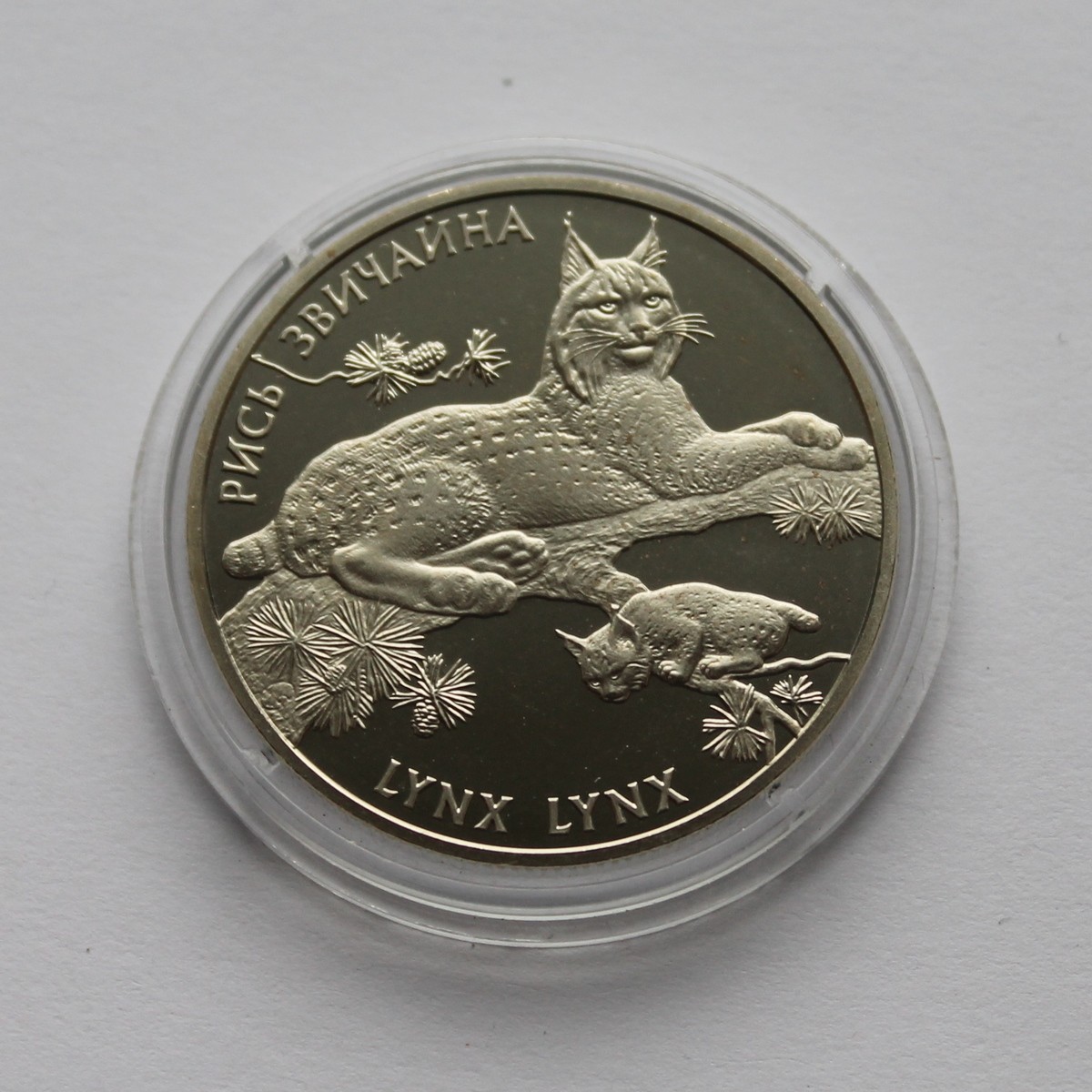 LYNX LYNX Eurasian Ukraine 2001 Coin 2 Hryvnia Fauna Animal Cat KM# 111 Red  Book | eBay