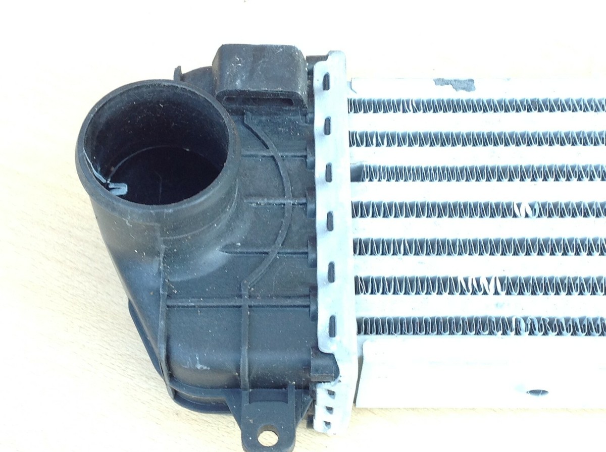 cygneシーニュスカラップケープ