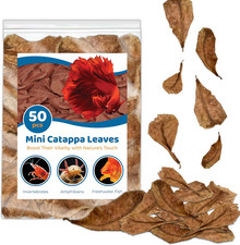 50 Pcs Mini Catappa Indian Almond Leaves for Betta Fish Aquarium, Shrimp, Frogs,