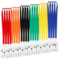 24 Pack Neck Lanyards with PVC Waterproof Card Cases - Colorful Keychain ID Badg