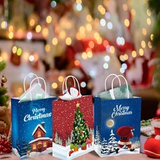 24Pcs Christmas Gift Bags with Tissues, Small Christmas Bags for Gift with Ha...