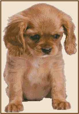 Golden Retriever Puppy Counted Cross Stitch Chart 16-132