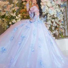 Blue Princess Quinceanera Dress Applique Lace Beads Long Sleeve Straps Sweet 16