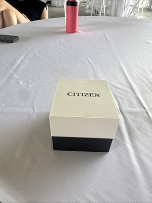 Citizen Men Eco Drive WR100 Titanium Brac Silver