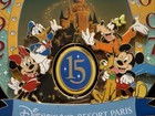 Jumbo Boxed Pin Trading Day 2007 Disneyland Paris 15th Anniversary LE 556/600 — photo 4