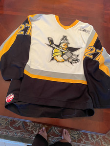 2004-05 ECHL Hockey Game-Worn Texas Wildcatters Jersey #27 James Demone- Meigray