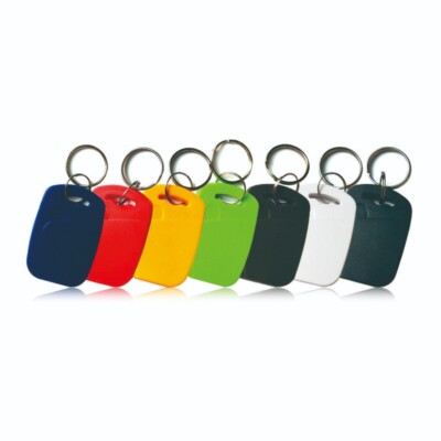 Dual Frequency RFID Key Fob 125Khz EM4100 and 13.56Mhz M1 chip 100 pack