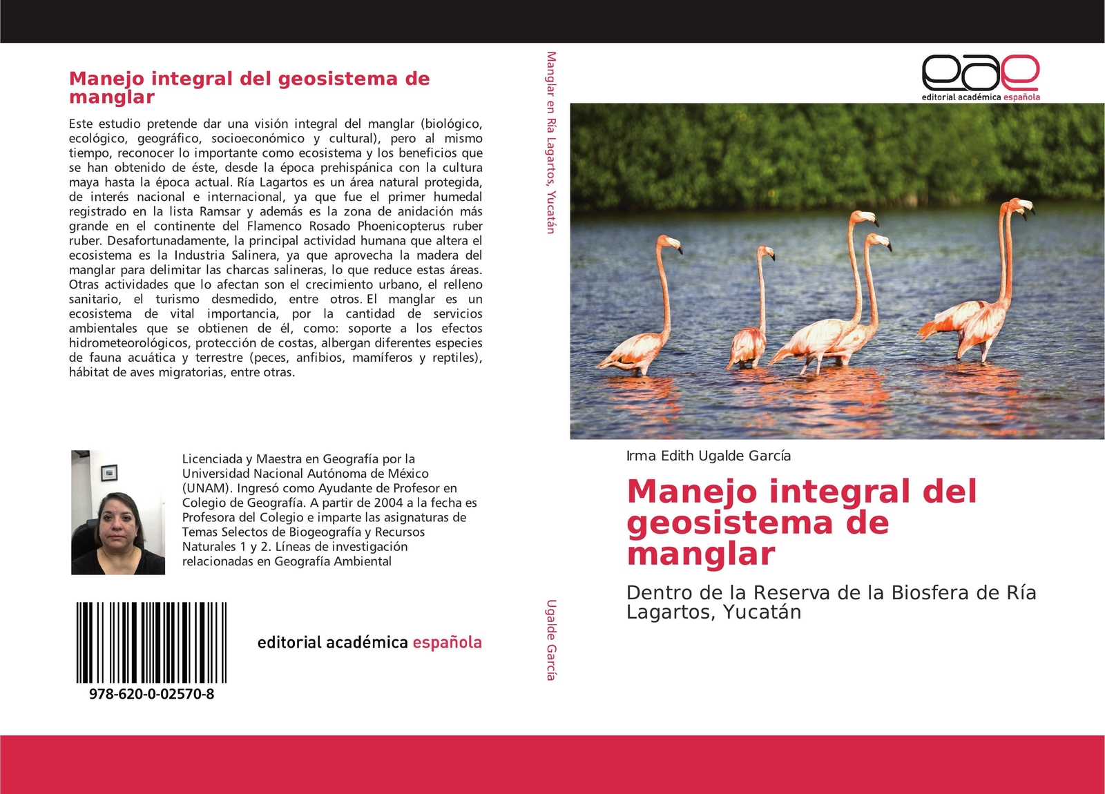 Thumbnail - Manejo Integral Del Geosistema De Manglar Irma Edith Ugalde García