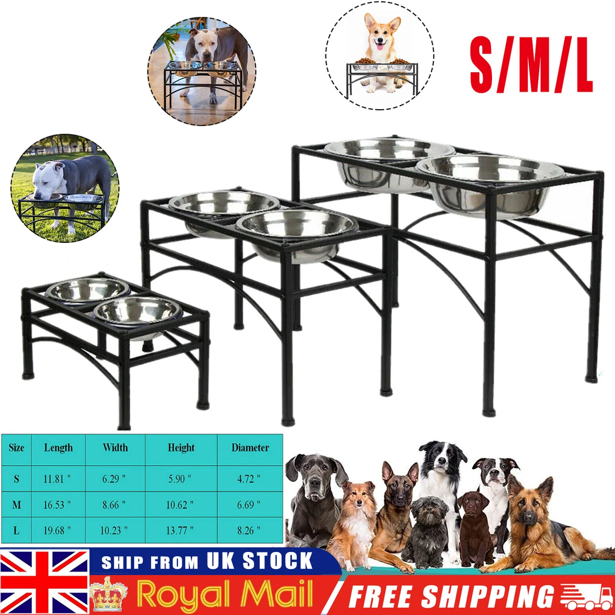 Raised best sale pet feeder
