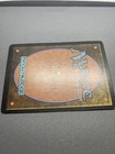 Foto 12 di 12