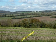 Photo 12x8 View across the tree tops of Gold Mine Plantation Compton/SU77 c2012