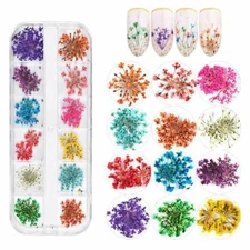 12 Colors Dried Flowers for Nail Art 1 Box Dry Flowers Mini Real Natura