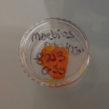 Moebius 8213 Strong Braking Grease for Automatic Watches 0.5g