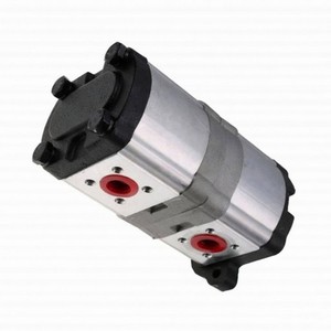 Hydraulic Pump F000510502 052107T1 For Massey Ferguson Tractor 271X 271XE