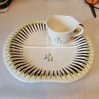 Red Wing Pottery Dinnerware Desert Picnic Party Tray Set Cactus Patern 🌵