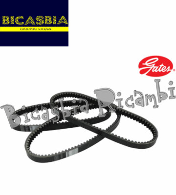 ポコ 19530 - Gates Variator Belt Honda 50 Dio ZX - Sa Vision Peugeot 50
