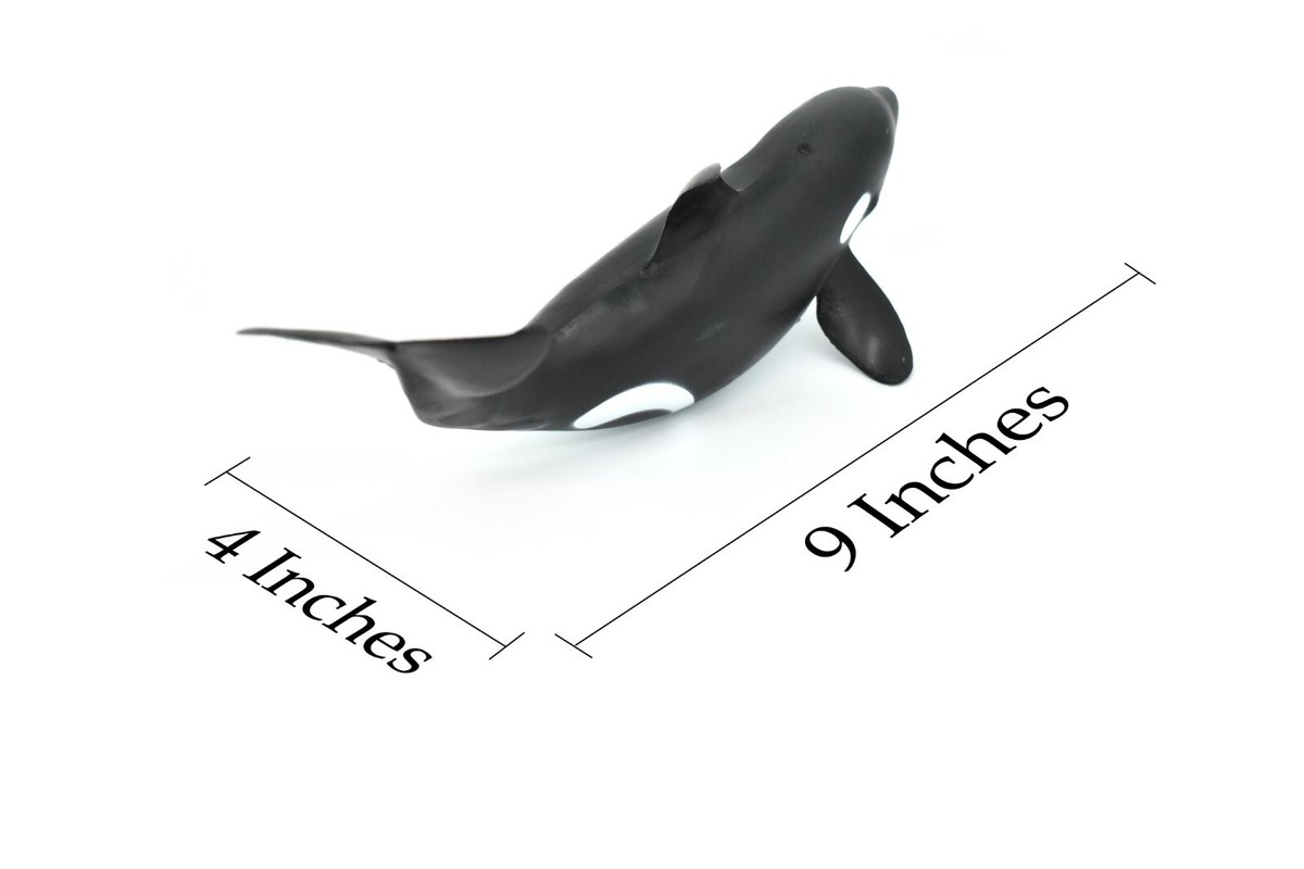 Killer Whale 完成品 $_57.JPG?set_id=8800005007