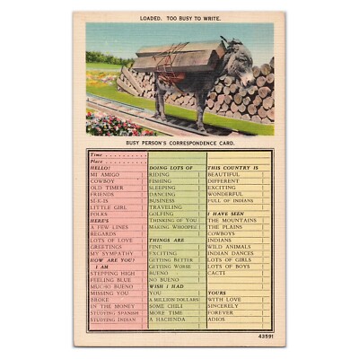 Busy Person's Checklist - Vintage Postcard - Too Busy To Write - Loaded Donkey